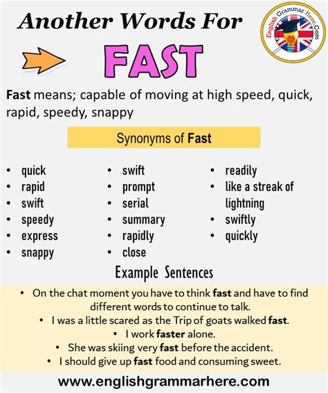 What is another word for fast learner .